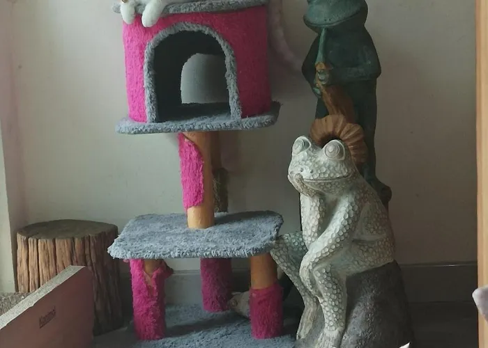 Double D & Cafe